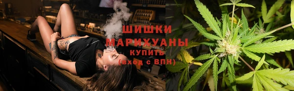 шишки Богданович