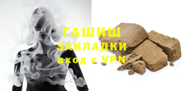 молекула духа Богородицк