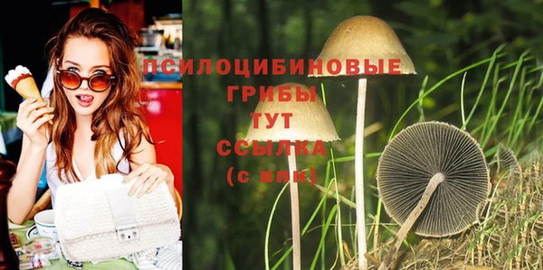 молекула духа Богородицк