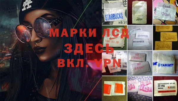мдпв Бородино